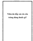 Viêm da tiếp xúc do côn trùng dùng thuốc gì?