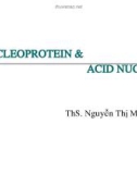 NUCLEOPROTEIN & ACID NUCLEIC