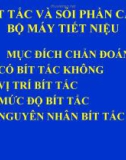 BÍT TẮC VÀ SỎI PHẦN CAO BỘ MÁY TIẾT NIỆU