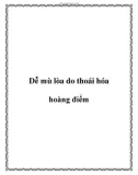 Dễ mù lòa do thoái hóa hoàng điểm