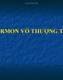 Vỏ thượng thận