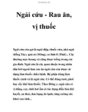 Ngải cứu - Rau ăn, vị thuốc