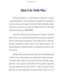 Quả Lắc Sinh Học