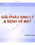 Bài giảng Giải phẫu sinh lý & bệnh về mắt - ThS.BS. Võ Thành Liêm