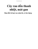 Cây rau dền thanh nhiệt, mát gan