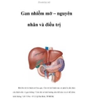 Gan nhiễm mỡ – nguyên nhân và điều trị