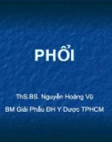 Bài giảng Giải phẫu học: Phổi - ThS.BS. Nguyễn Hoàng Vũ (Dành cho hệ liên thông)