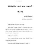 Giải phẫu cơ và mạc vùng cổ (Kỳ 4)