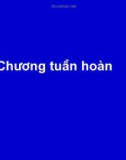 Bài giảng chương tuần hoàn