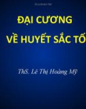 Bài giảng Đại cương về huyết sắc tố - ThS. Lê Thị Hoàng Mỹ