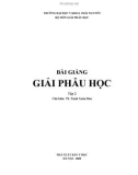 Bài giảng Giải phẫu học Tập 2