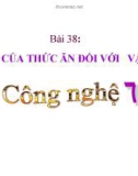 Bài giảng Công nghệ 7 bài 38: Vai trò của thức ăn đối với vật nuôi