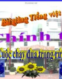 Bài giảng Chính tả: Nghe, viết: Cuộc chạy đua trong rừng - Tiếng việt 3 - GV.N.Phương Mai