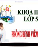 Bài giảng môn Khoa học lớp 5 năm học 2021-2022 - Bài 14: Phòng bệnh viêm não (Trường Tiểu học Thạch Bàn B)