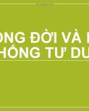 Bài giảng Vòng đời và hệ thống tư duy