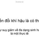 Biến đổi khí hậu là có thực