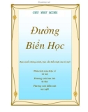 Đường biển học