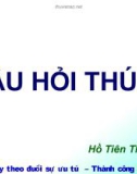 Câu hỏi thú vị