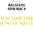 Bài giảng Sinh học lớp 8 bài 55: Giới thiệu chung hệ nội tiết