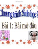 Bài giảng Sinh học 8: Bài mở đầu