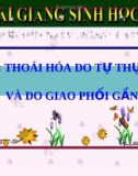 Bài giảng Sinh học lớp 9 bài 34: Thoái hóa do tự thụ phấn và do giao phối gần