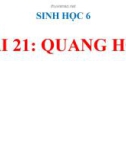 Bài giảng Sinh học 6 bài 21: Quang hợp