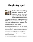 Sống hướng ngoại