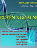 Di truyền ngoài nhân