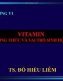 CHƯƠNG VI: VITAMIN - CÔNG THỨC VÀ VAI TRÒ SINH HỌC