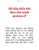 Hô hấp hiếu khí theo chu trình pentozo-P