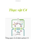 Thực vật C4