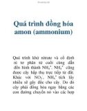 Quá trình đồng hóa amon (ammonium)