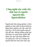 Công nghệ sản xuất cồn sinh học từ nguồn nguyên liệu lignocellulose