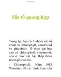 Sắc tố quang hợp