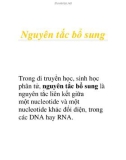 Nguyên tắc bổ sung