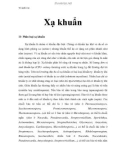 Vi sinh vật - Xạ khuẩn