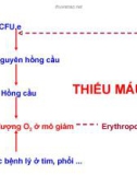 THIẾU MÁU