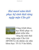 Hai mươi năm khôi phục hệ sinh thái rừng ngập mặn Cần giờ