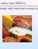 Sự hư hỏng thực phẩm và ngộ độc thực phẩm do vi sinh vật