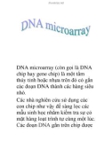 DNA microarray