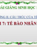 Bài giảng Sinh học 10 bài 7: Tế bào nhân sơ