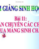 Bài giảng Sinh học 10 bài 11: Vận chuyển các chất qua màng sinh chất