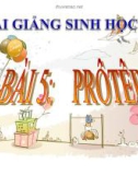 Bài giảng Sinh học 10 bài 5: Prôtêin