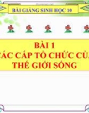 Bài giảng Sinh học 10 bài 1: Các cấp trong tổ chức thế giới sống