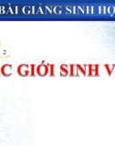 Bài giảng Sinh học 10 bài 2: Các giới sinh vật