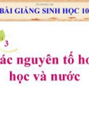 Bài giảng Sinh học 10 bài 3: Các nguyên tố hóa học và nước