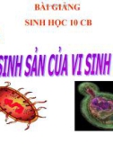 Bài giảng Sinh học 10 bài 26: Sinh sản của vi sinh vật