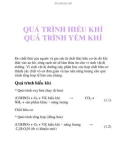 quá trình hiếu khí, quá trình yếm khí