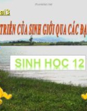 Bài giảng Sinh học 12 bài 33: Sự phát triển của sinh giới qua các đại địa chất