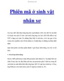 Phiên mã ở sinh vật nhân sơ